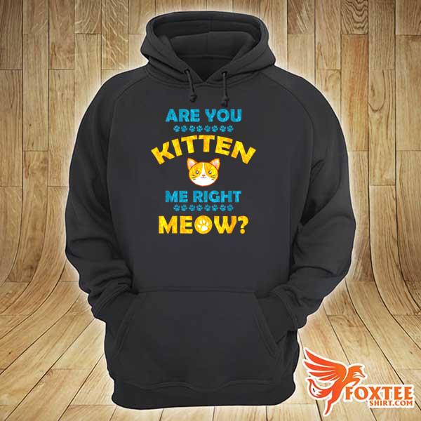 Are You Kitten Me Right Now hoodie